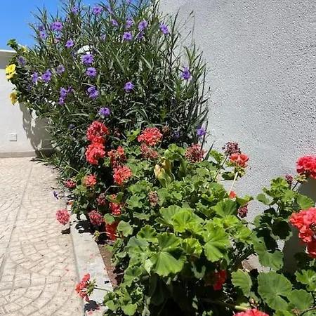 Vistamare La Apartment